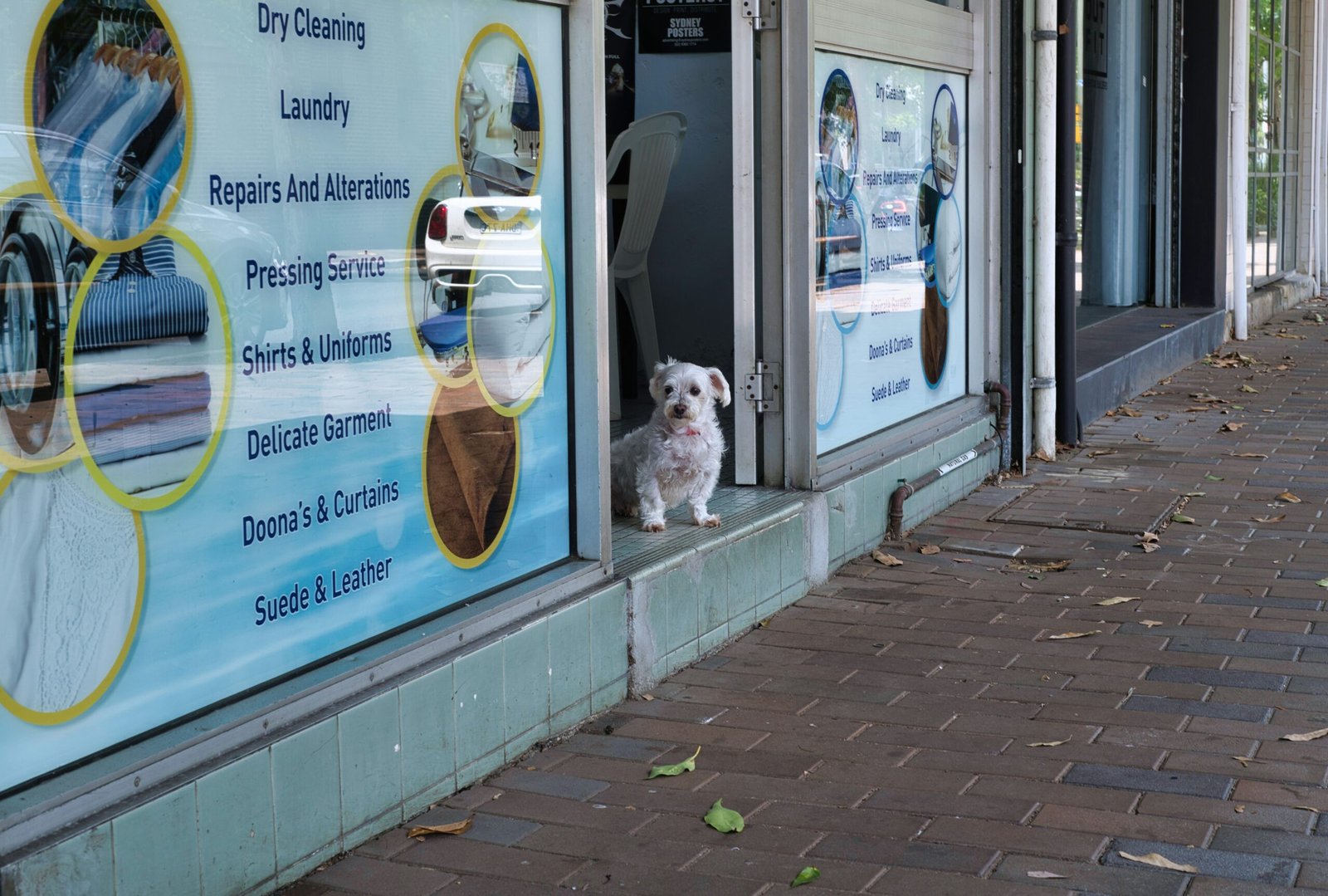 Insurance for Pet Shops in California – Complete Coverage Guide